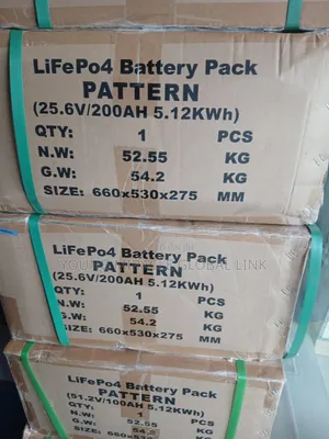 5kwh 51.2v Partner Ion Lithium Battery