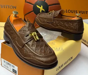 Louis Vuitton Luxury Brown Shoe