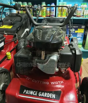 Strong and Beautiful New Lawn Mowers