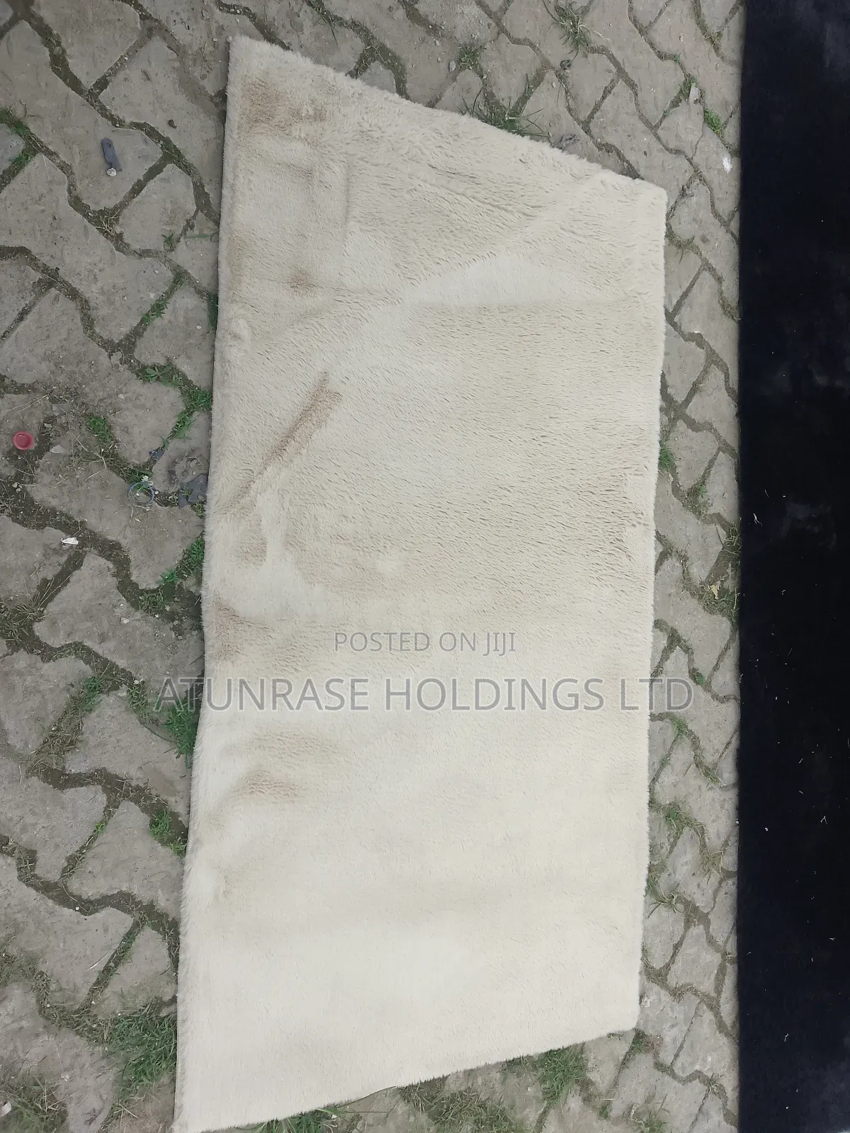 Centre Rugs