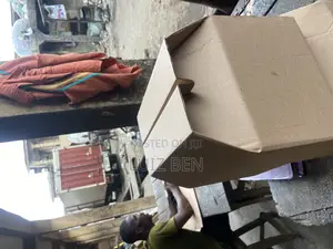 Very Neat Well Customized Food Box