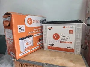 240amps Fenicity Tall Tubular Battery 12v