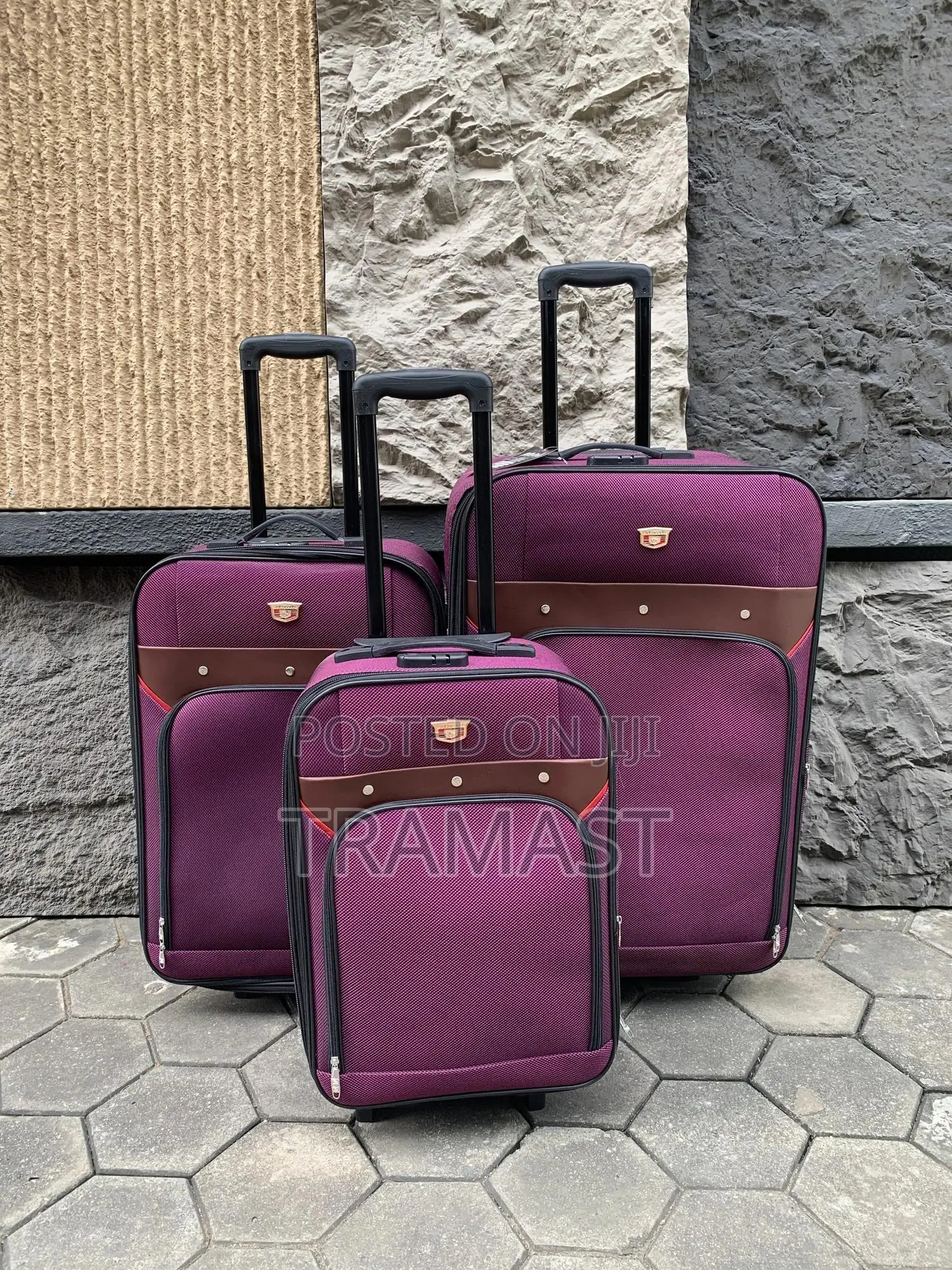 Purple Travel Luggage 3 Set