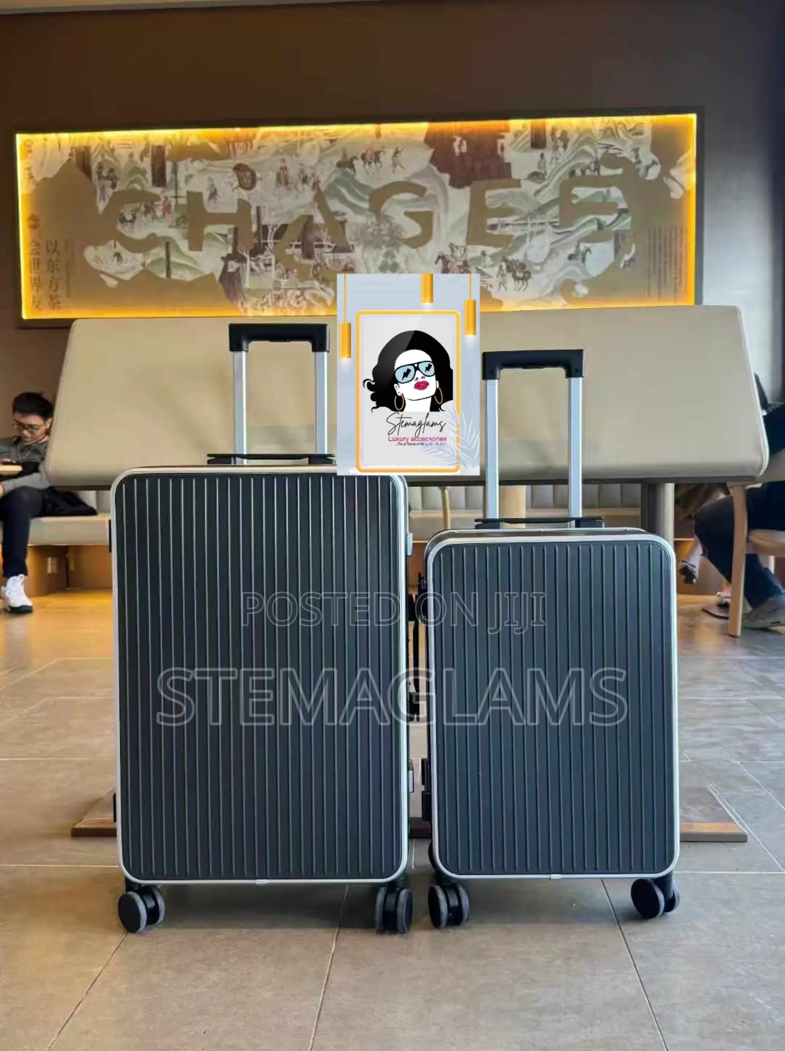Aluminum Trolley Box, Adjustable Handle, Durable, Easy,Carry