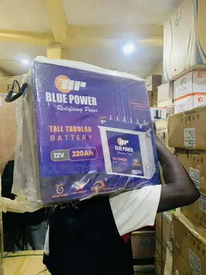 220ah 12 v Blue Power Tubular Battery