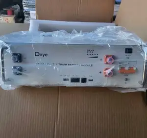 Deye 5kwh 48v Lithium Ion Battery