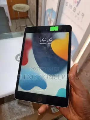 Apple iPad mini 4 128 GB Gray