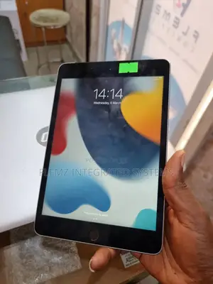 Apple iPad mini 4 128 GB Gray