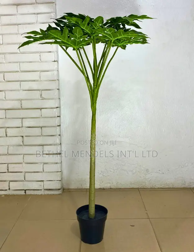 Artificial Decorative Papaya Plants (Height: 120cm)