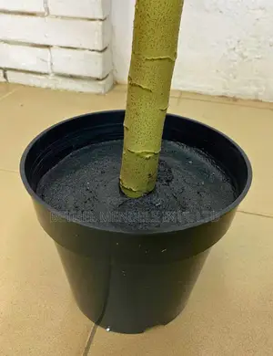 Artificial Decorative Papaya Plants (Height: 120cm)