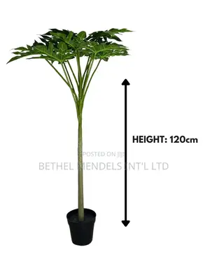 Artificial Decorative Papaya Plants (Height: 120cm)