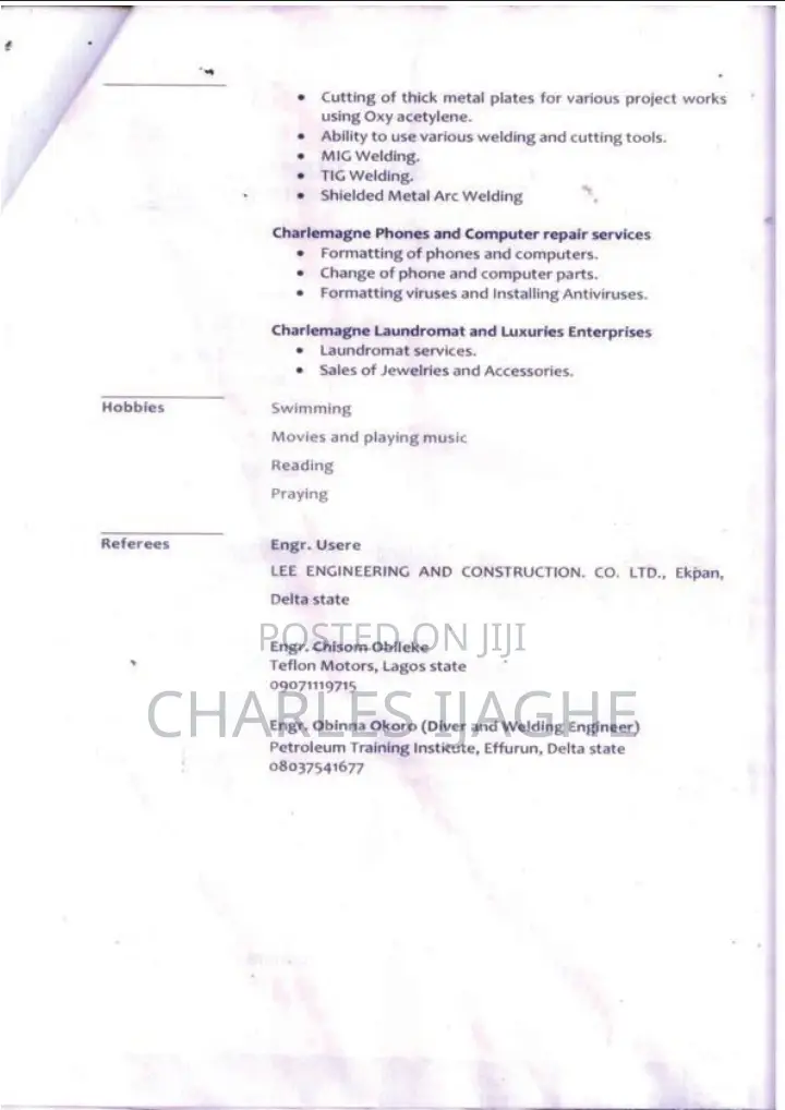 Construction Skilled Trade CV