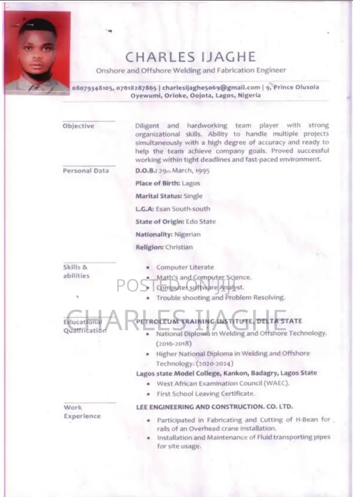 Construction Skilled Trade CV