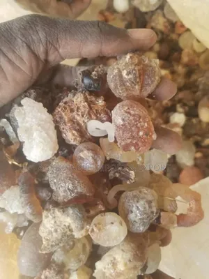 Gum Arabic