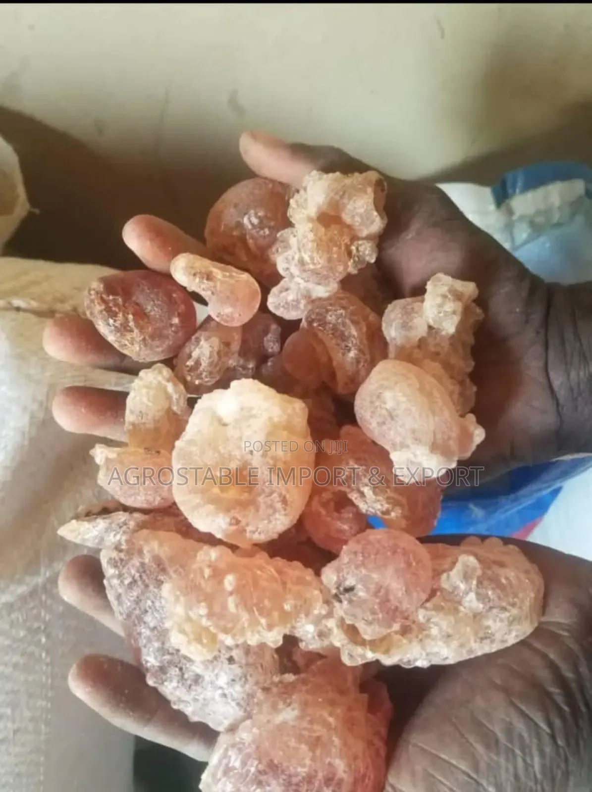 Gum Arabic