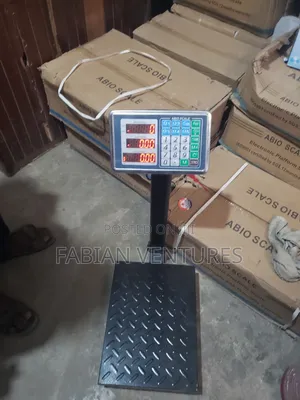 100kg Measuring Scale