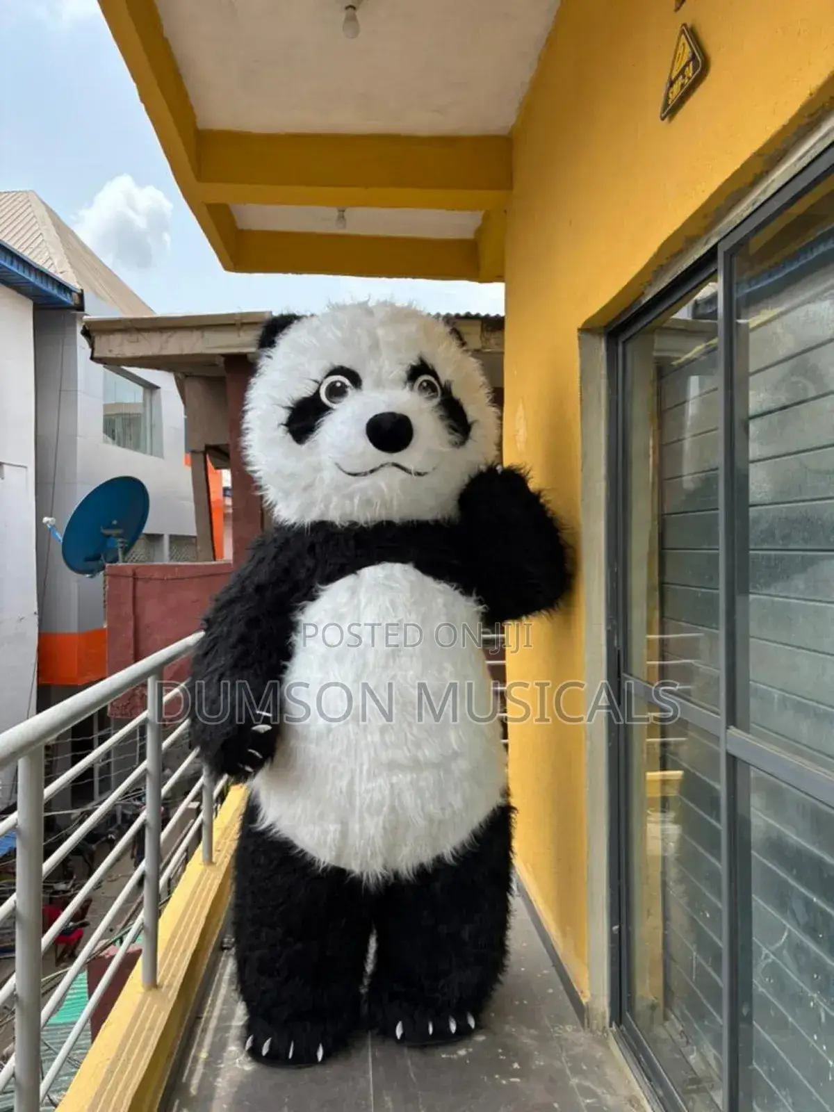 Panda Costume