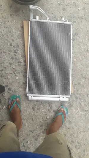 Condenser Sonata 2012