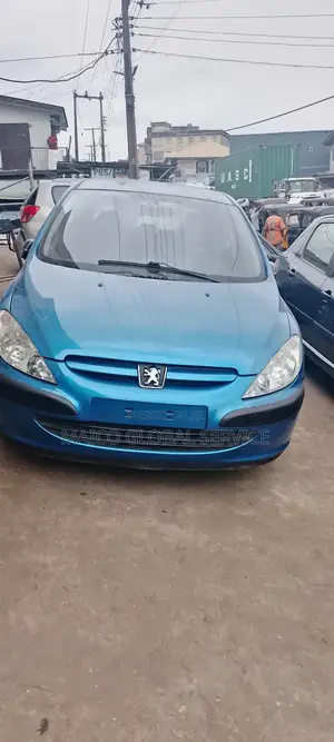 Peugeot 307 2006 Blue