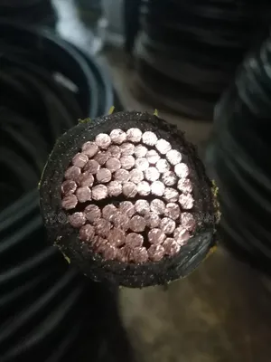 500mm Amored Cable Single Core