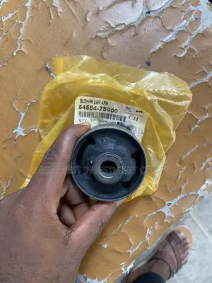 Front Low Arm Bushing Ix35