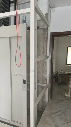 Professional Residential Home Safety Elevator