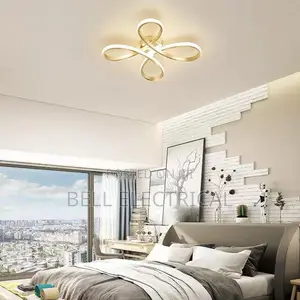 Luxury Led Ceiling Light