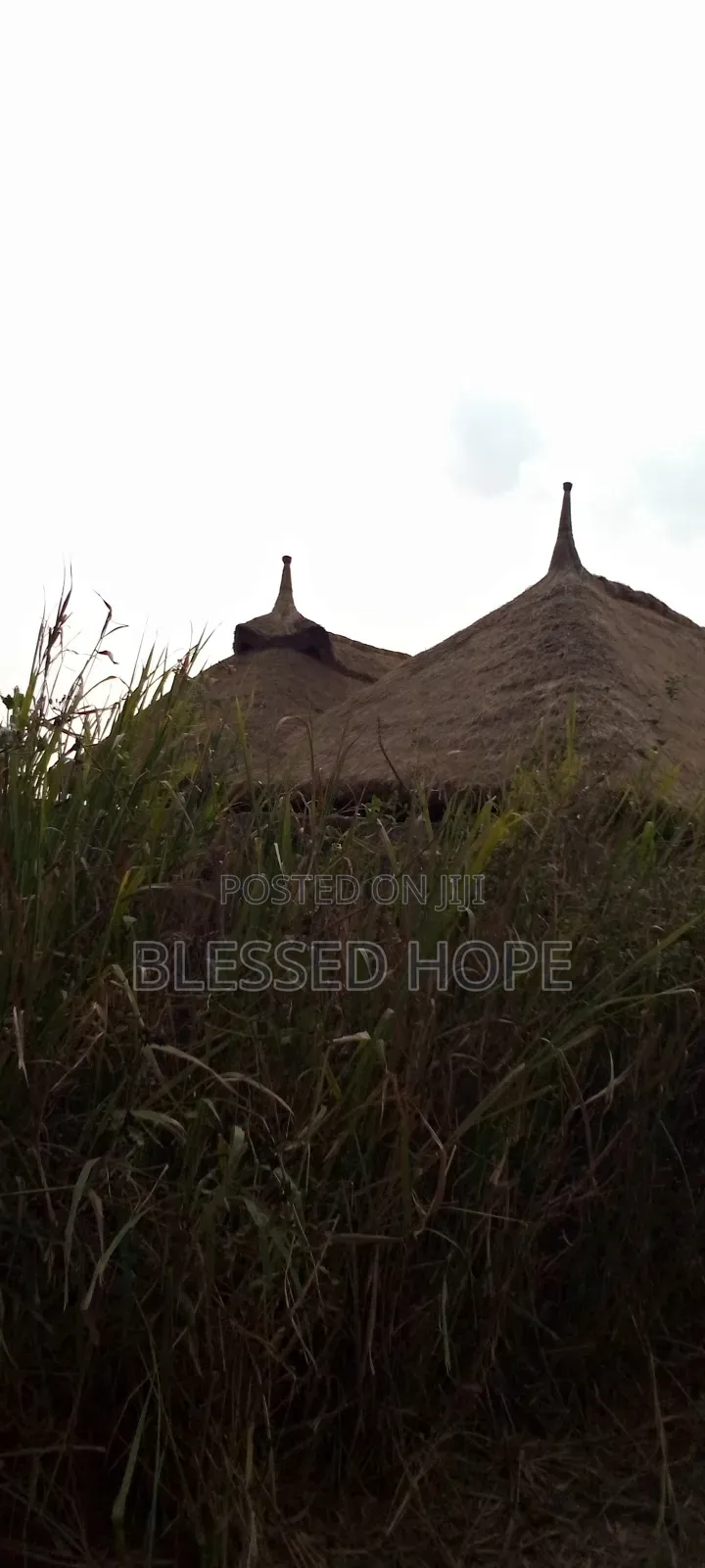 The Blessed