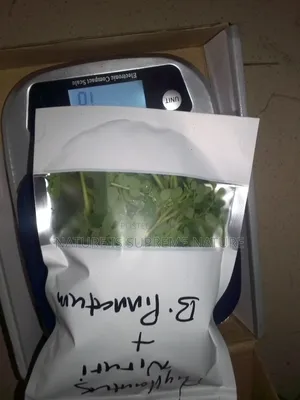 Herbs for Kidney Diseases, Dialysis and Renal Lithiasis