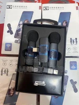 Double Wireless Microphone