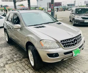 Mercedes-Benz M Class ML 350 4Matic 2007 Gray