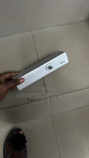 Medium Sized Briton Heavy Duty Door Closer