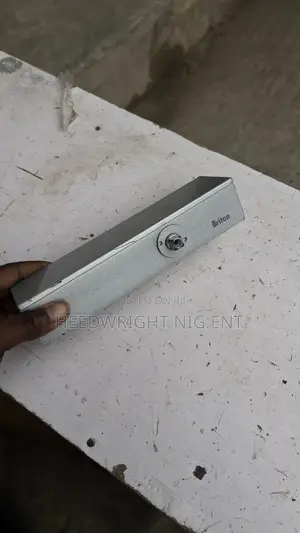 Medium Sized Briton Heavy Duty Door Closer