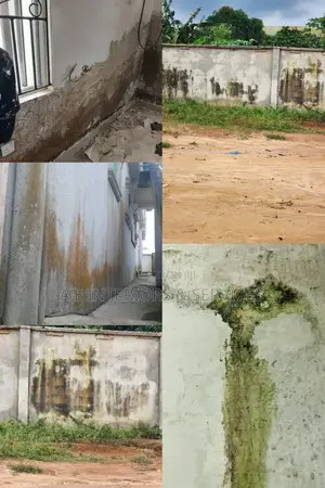 Repair of Defect Wall Damping, Cold Wall, Cracks, Algae