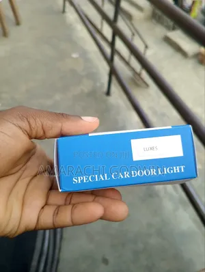 Lexus Car Door Light