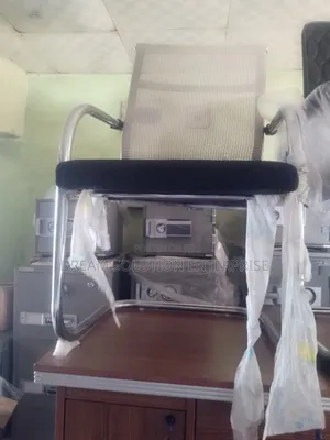 Visitor Chair With Net Back