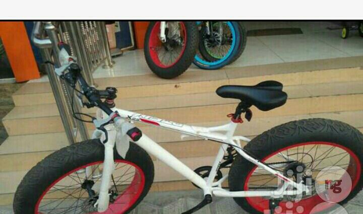 Big Tyre Bicycle With Gear Selection