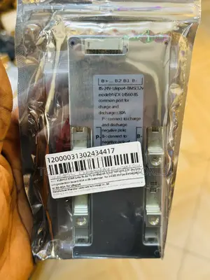 8s 80a BMS Powerful Battery Protection for Lifepo4