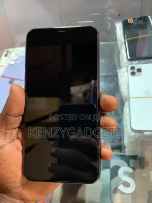Apple iPhone 11 Pro Max 256 GB Gray