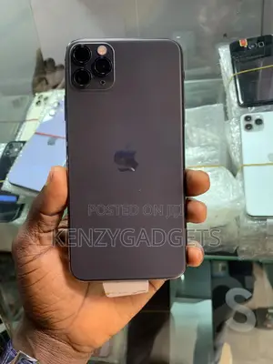 Apple iPhone 11 Pro Max 256 GB Gray