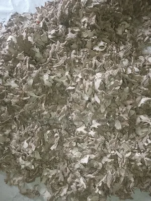 Dried Split Ginger