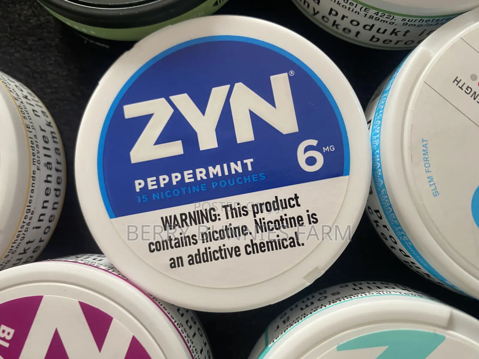 Nicotine Pouch