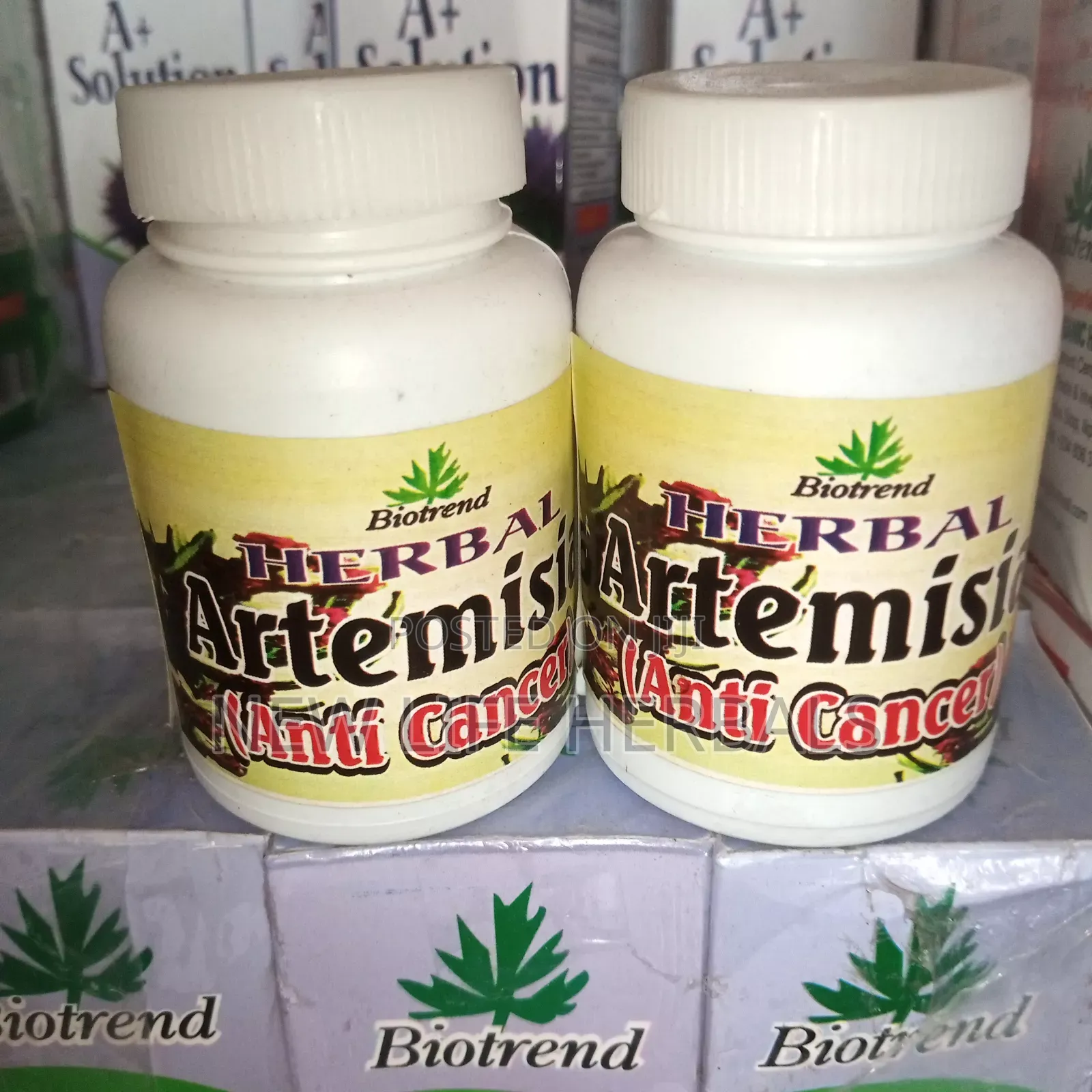 Artemisia Herbal Therapy Ekwesi