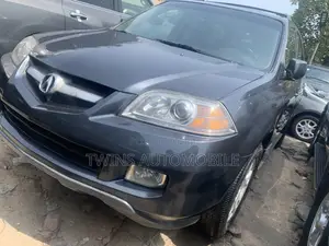 Acura MDX 2006 Gray