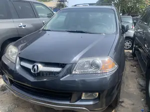 Acura MDX 2006 Gray