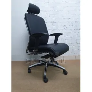 Ergonomic Office Chair With Adjustable Hand