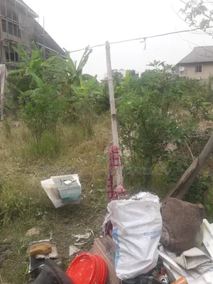 Full Plot of Land for Sale in Hope Estate Ago 30m