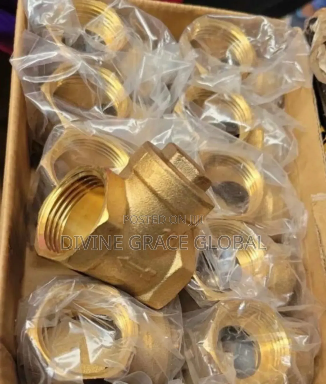 Brass Non Return Valve