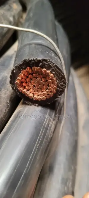 300mmx1core Nigerchine