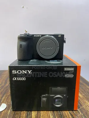Sony A6600